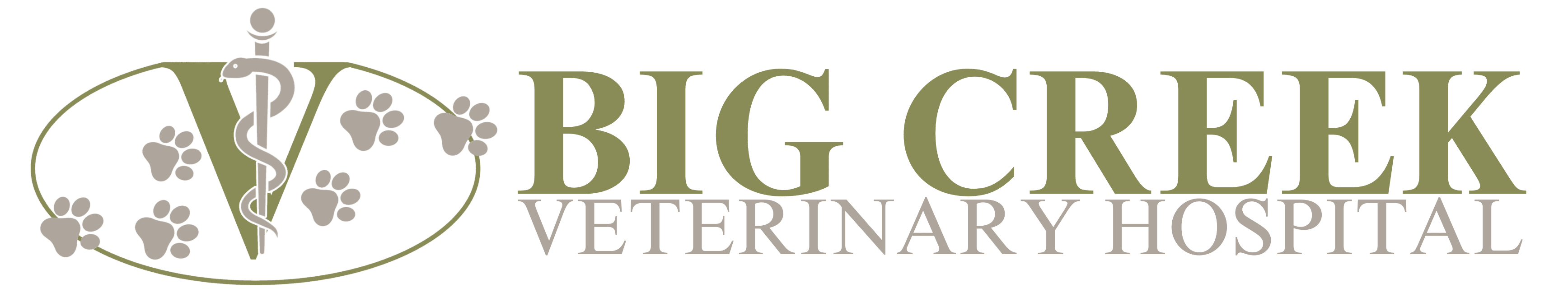 Big Creek Veterinary Hospital Logo
