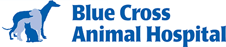 Blue Cross Animal Hospital Logo