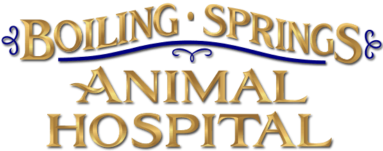Boiling Springs Animal Hospital Logo