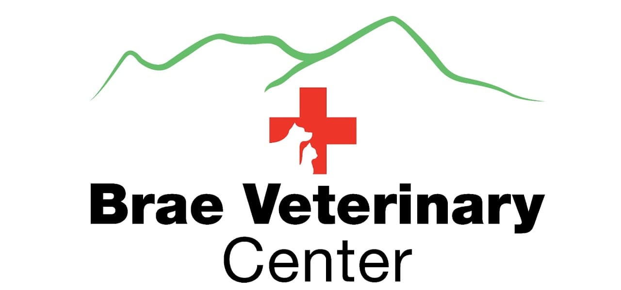 Brae Veterinary Center Logo
