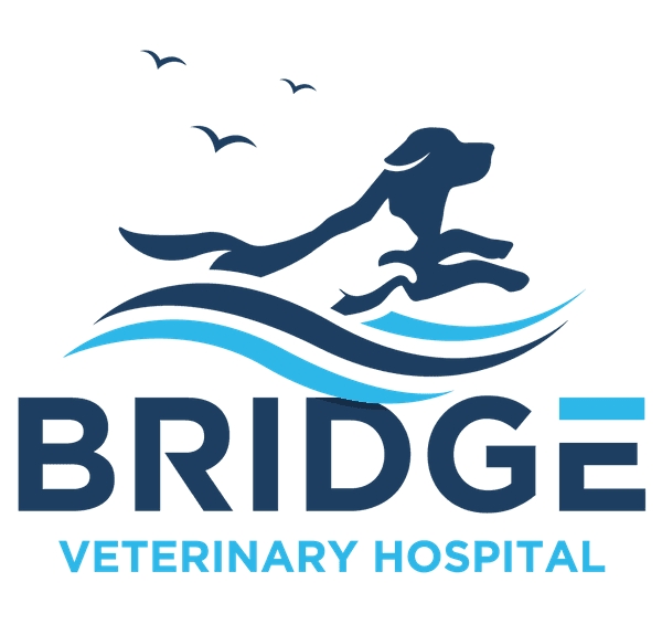 Bridge Veterinary Hospital Logo