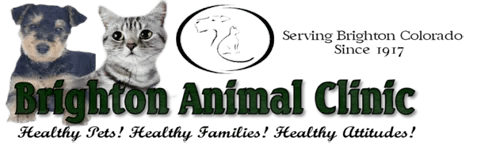 Brighton Animal Clinic Logo