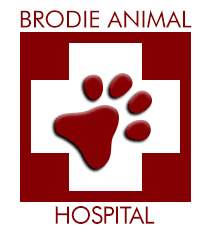 Brodie Animal Hospital Logo