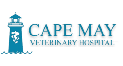 Cape May Veterinary Hospital Logo