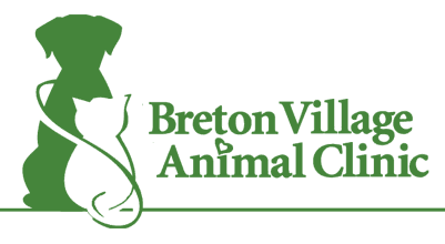 Cascade Hospital for Animals Logo