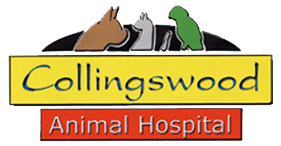 Collingswood Animal Hospital Logo