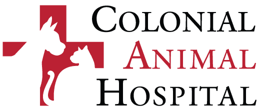 Colonial Animal Hospital Logo