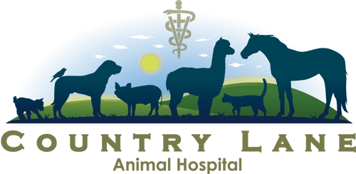 Country Lane Animal Hospital Logo