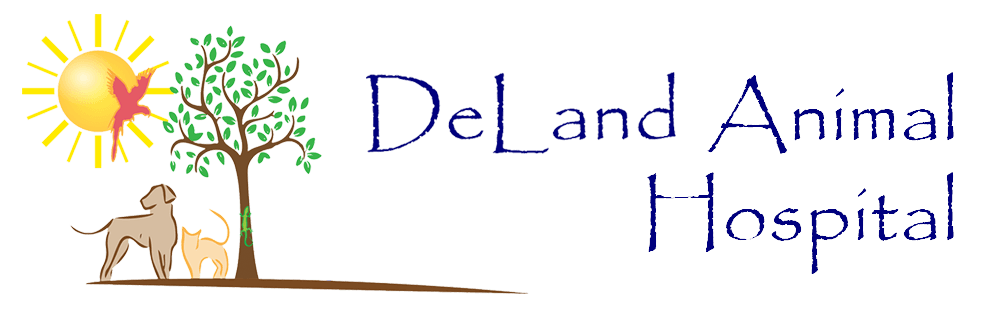 DeLand Animal Hospital Logo