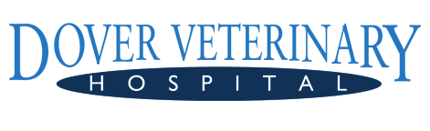 Dover Veterinary Hospital Logo
