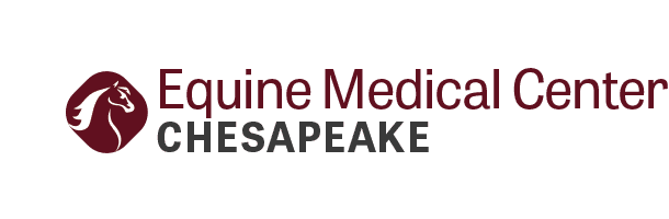 Equine Medical Center Logo