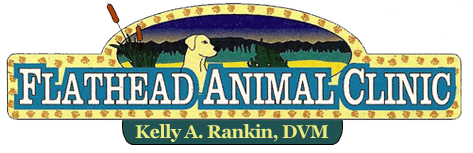 Flathead Animal Clinic Logo