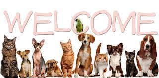 Griffin Road Animal Clinic Logo