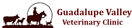 Guadalupe Valley Veterinary Clinic Logo