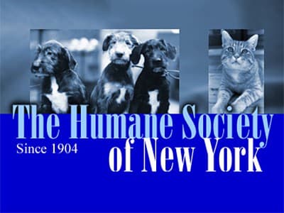 The Humane Society of New York (HSNY) Logo