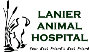 Lanier Animal Hospital Logo