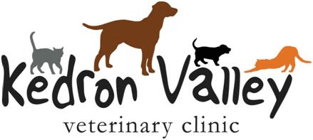 Kedron Valley Vet Clinic Logo