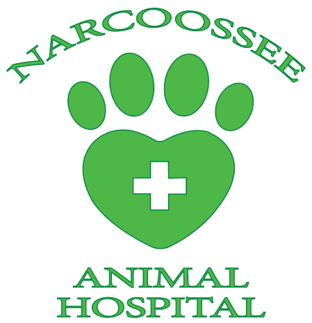 Narcoossee Animal Hospital Logo