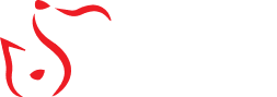 Animal Medical Clinic of Gulf Gate Logo