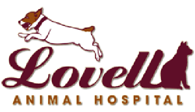 Lovell Animal Hospital Logo
