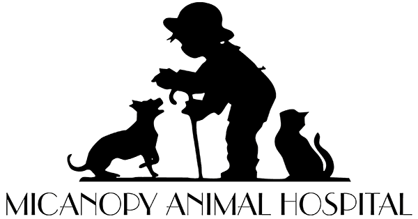 Micanopy Animal Hospital Logo