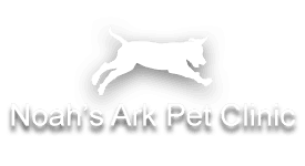 Noah's Ark Pet Clinic in NY P.C Logo