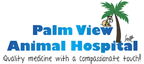 Palm View Animal Hospital Logo