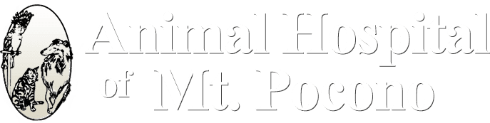 Animal Hospital of Mt. Pocono Logo