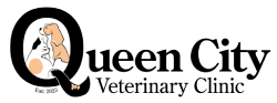 Queen City Veterinary Clinic Logo
