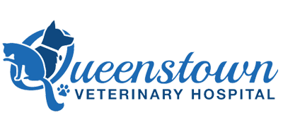 Queenstown Veterinary Hospital Logo