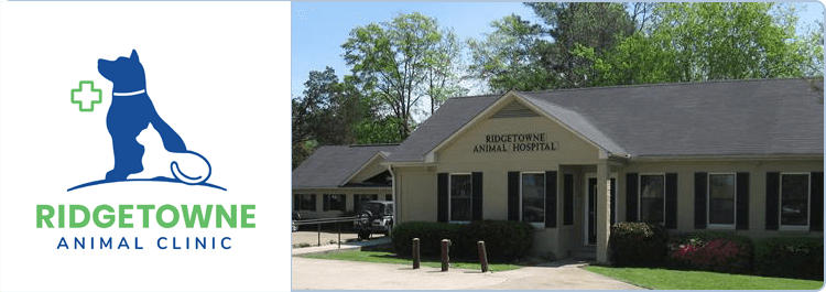 Ridgetowne Animal Clinic Logo
