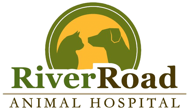 River Road Animal Hospital Logo