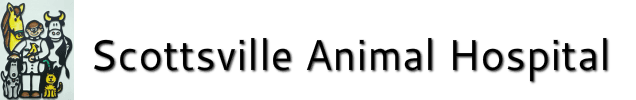 Scottsville Animal Hospital Logo