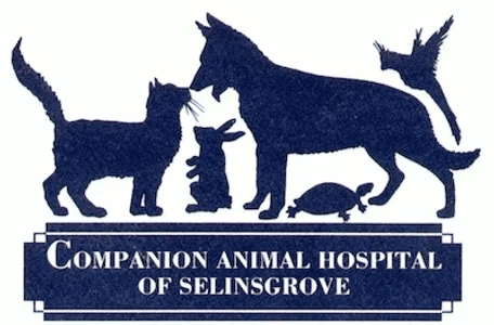 Companion Animal Hospital Logo
