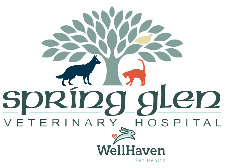 Spring Glen Veterinary Hospital Logo