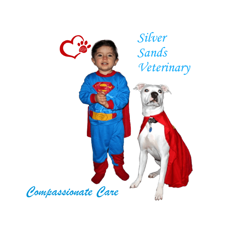 Silver Sands Veterinary Center Logo
