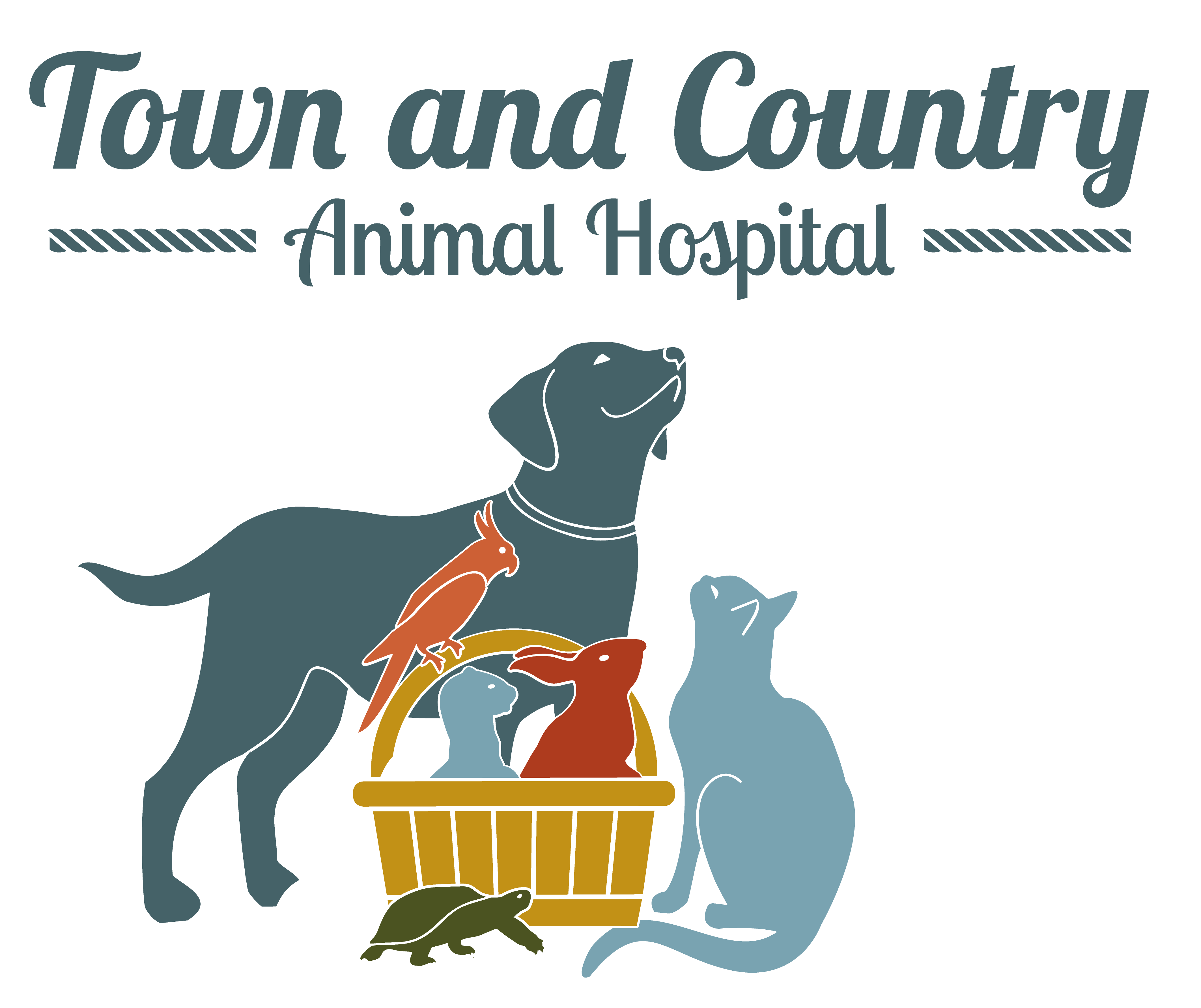 Town and Country Animal Hospital Logo