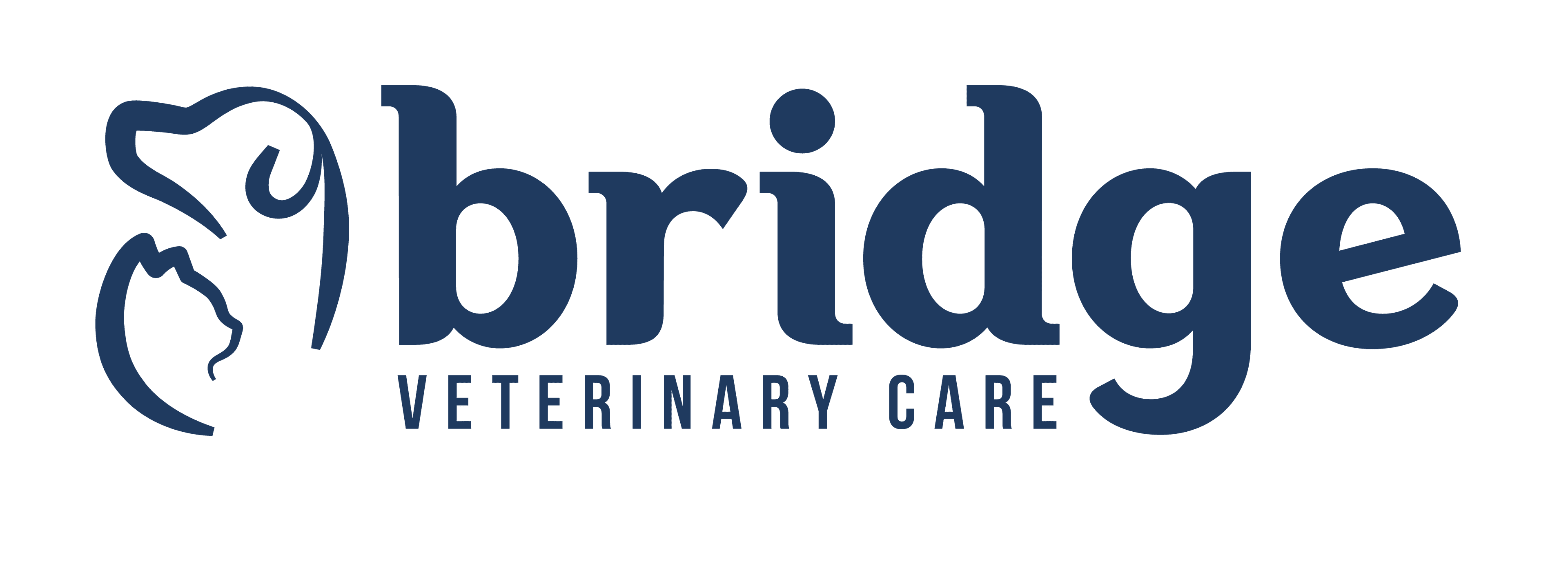 Bridge Veterinary Care Logo