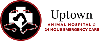 Uptown Animal Hospital & Urgent Care Logo