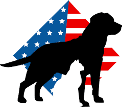 Vanguard Veterinary Hospital Logo