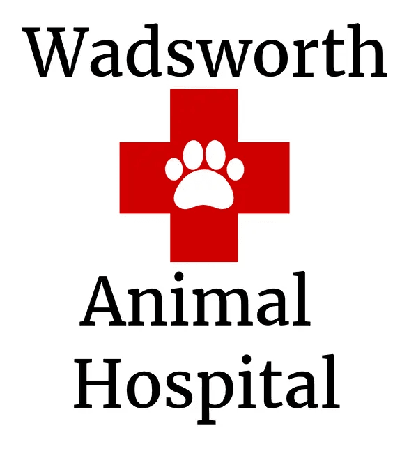 Wadsworth Animal Hospital Logo