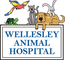 Wellesley Animal Hospital Logo