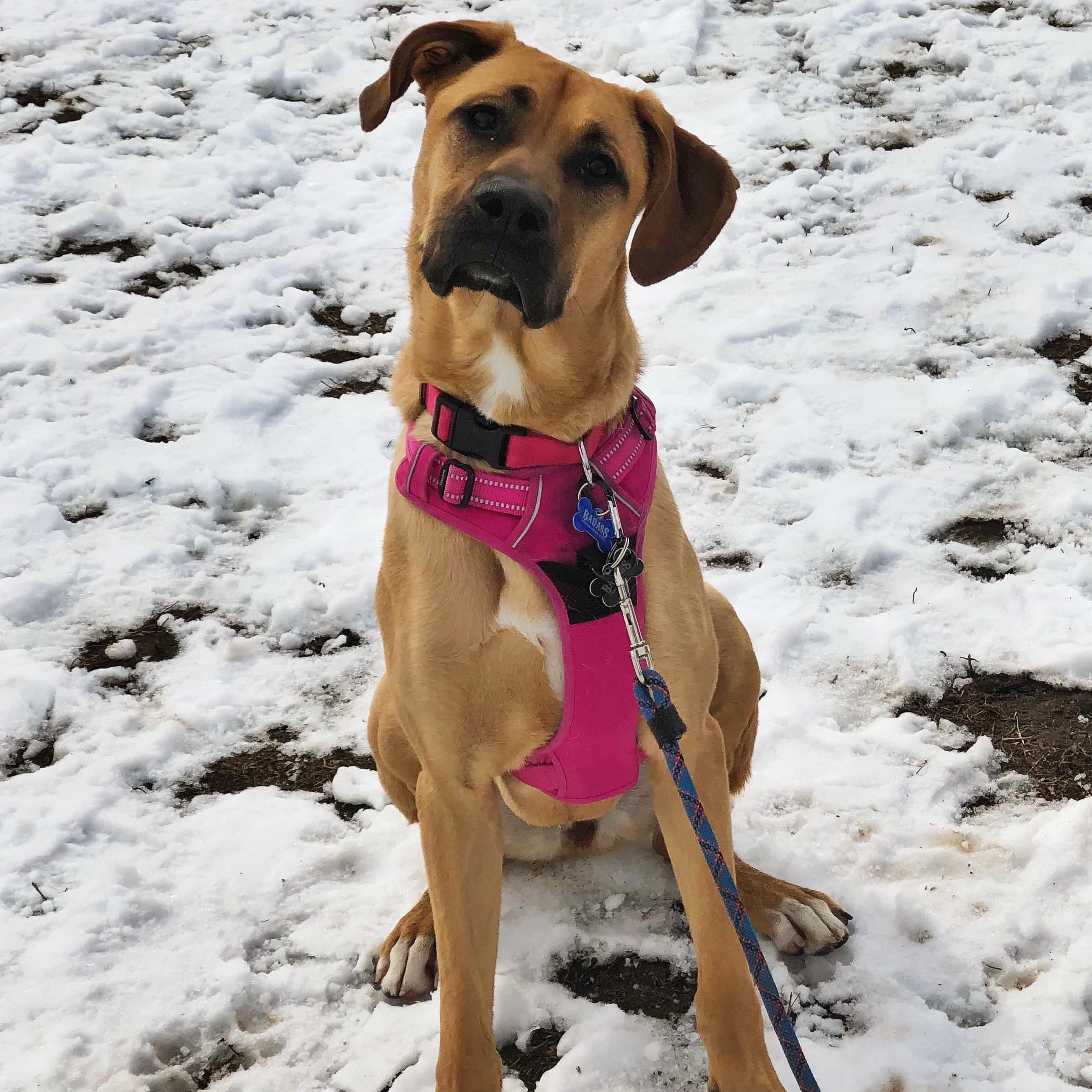 Wilma Profile Picture