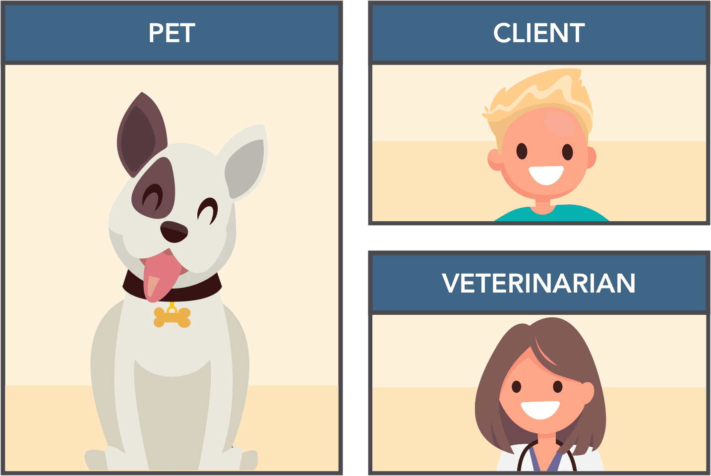 A pet and their pet parent being greeted by their veterinarian at a routine checkup