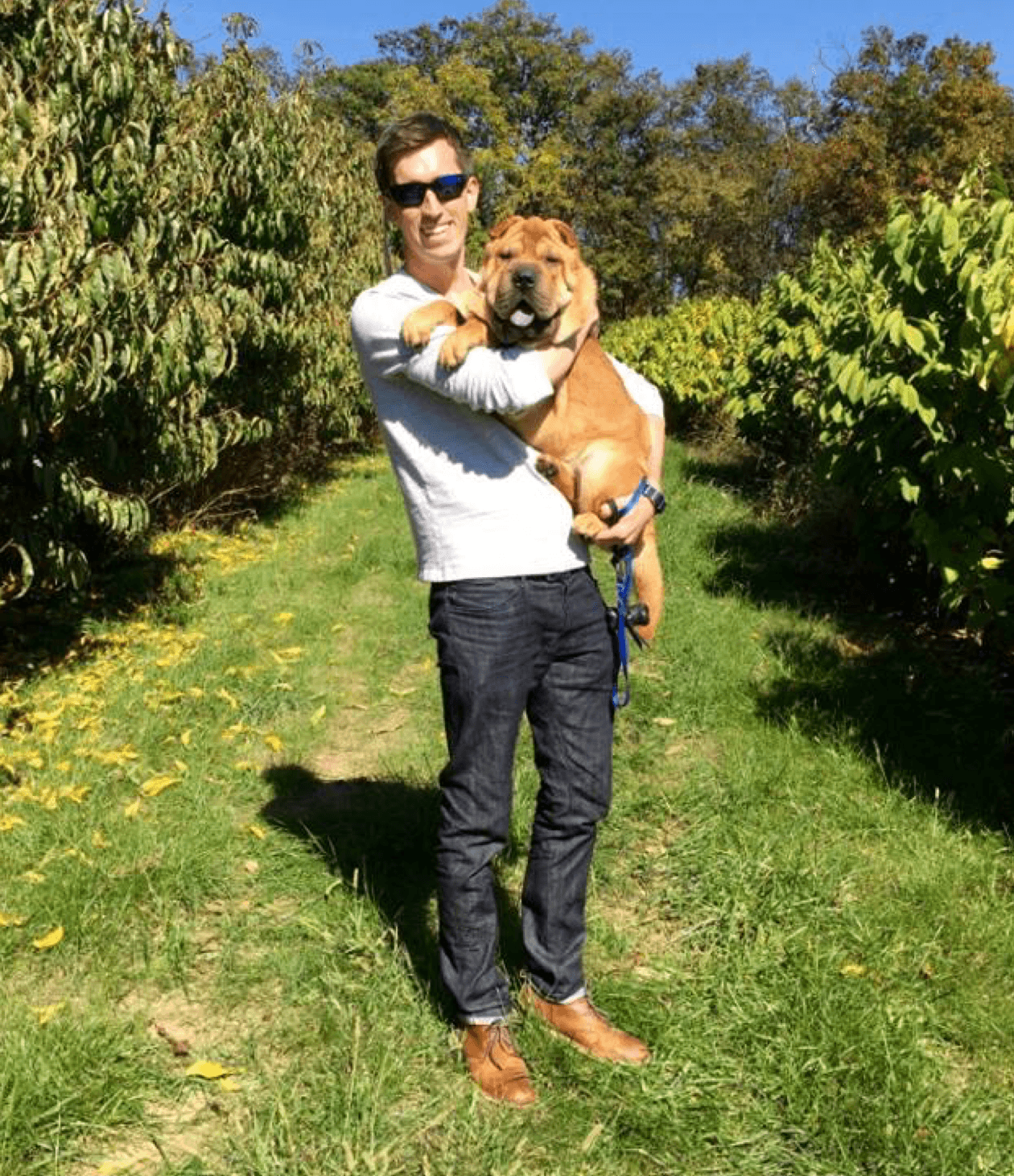 Pawlicy Advisor CEO Woody Mawhinney and his Shar Pei Wrigley