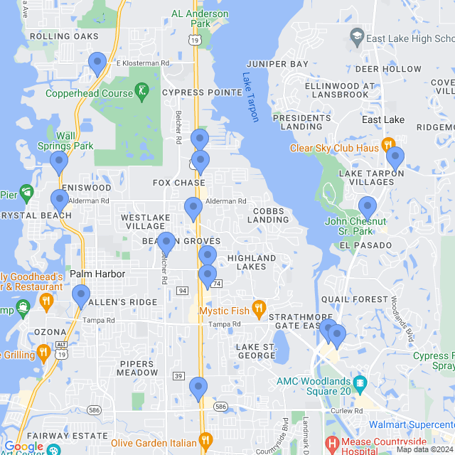 Map of veterinarians in Palm Harbor, FL