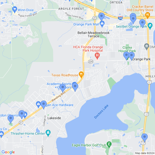 Map of veterinarians in Orange Park, FL