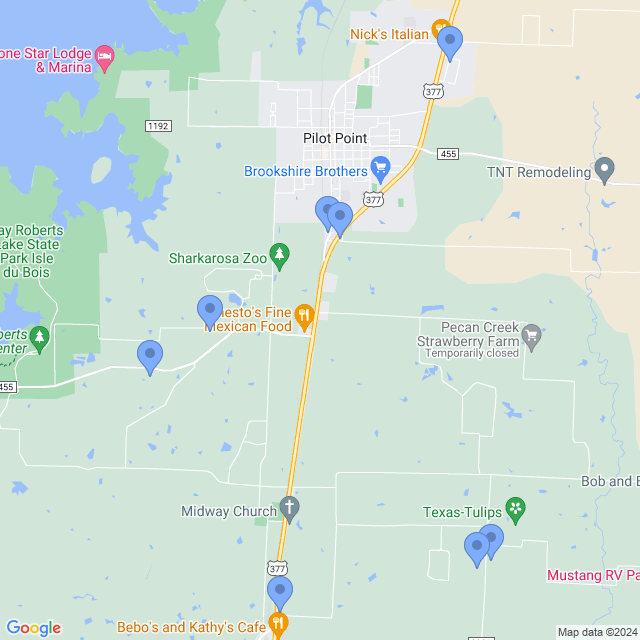 Map of veterinarians in Pilot Point, TX