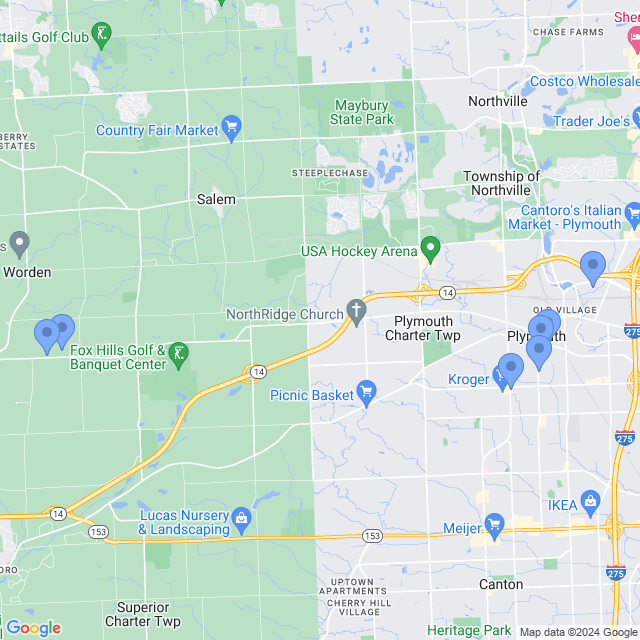 Map of veterinarians in Plymouth, MI
