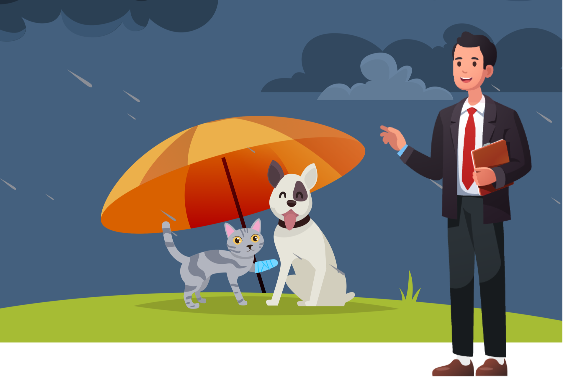 A free online webinar that helps veterinary staff learn about pet insurance.